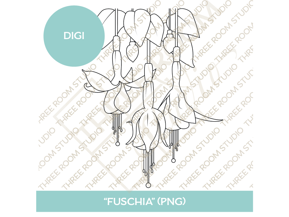 Digi - "Fuschia"