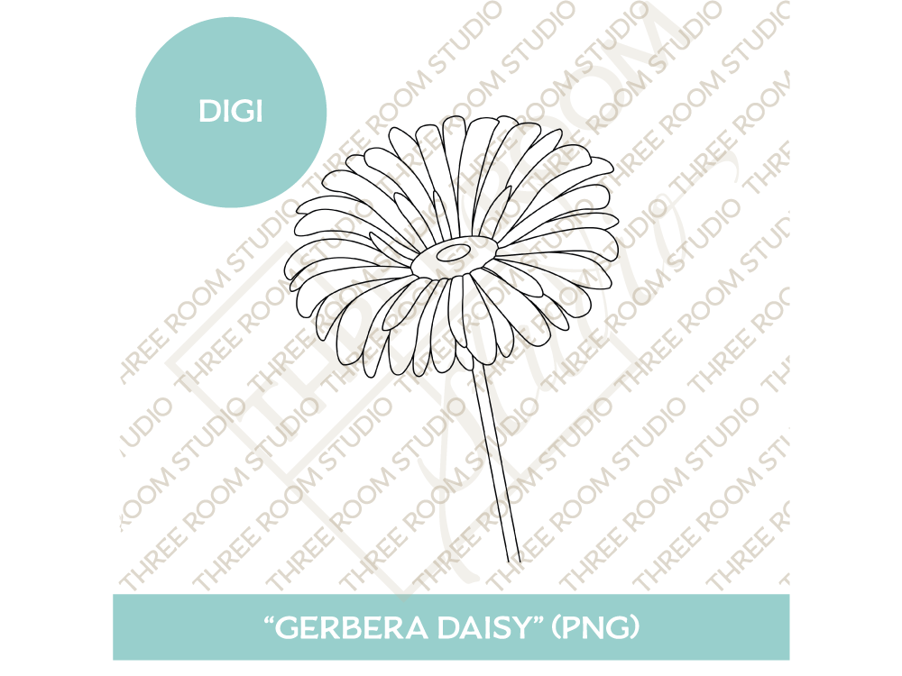 Digi - "Gerbera Daisy"