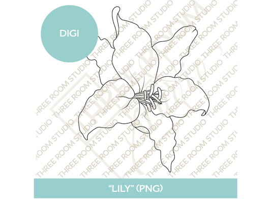 Digi - "Lily"