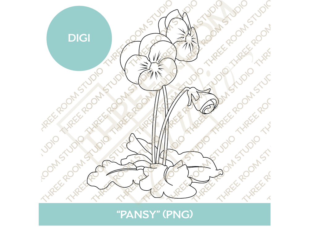 Digi - "Pansy"